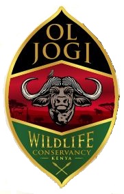 Ol Jogi